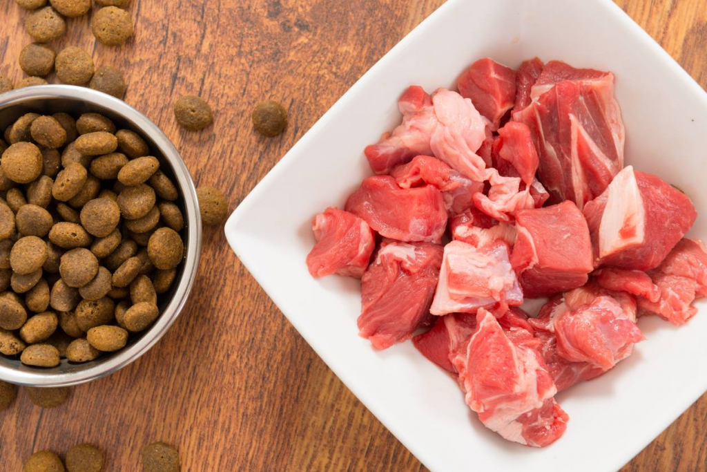 composition croquettes pour chien